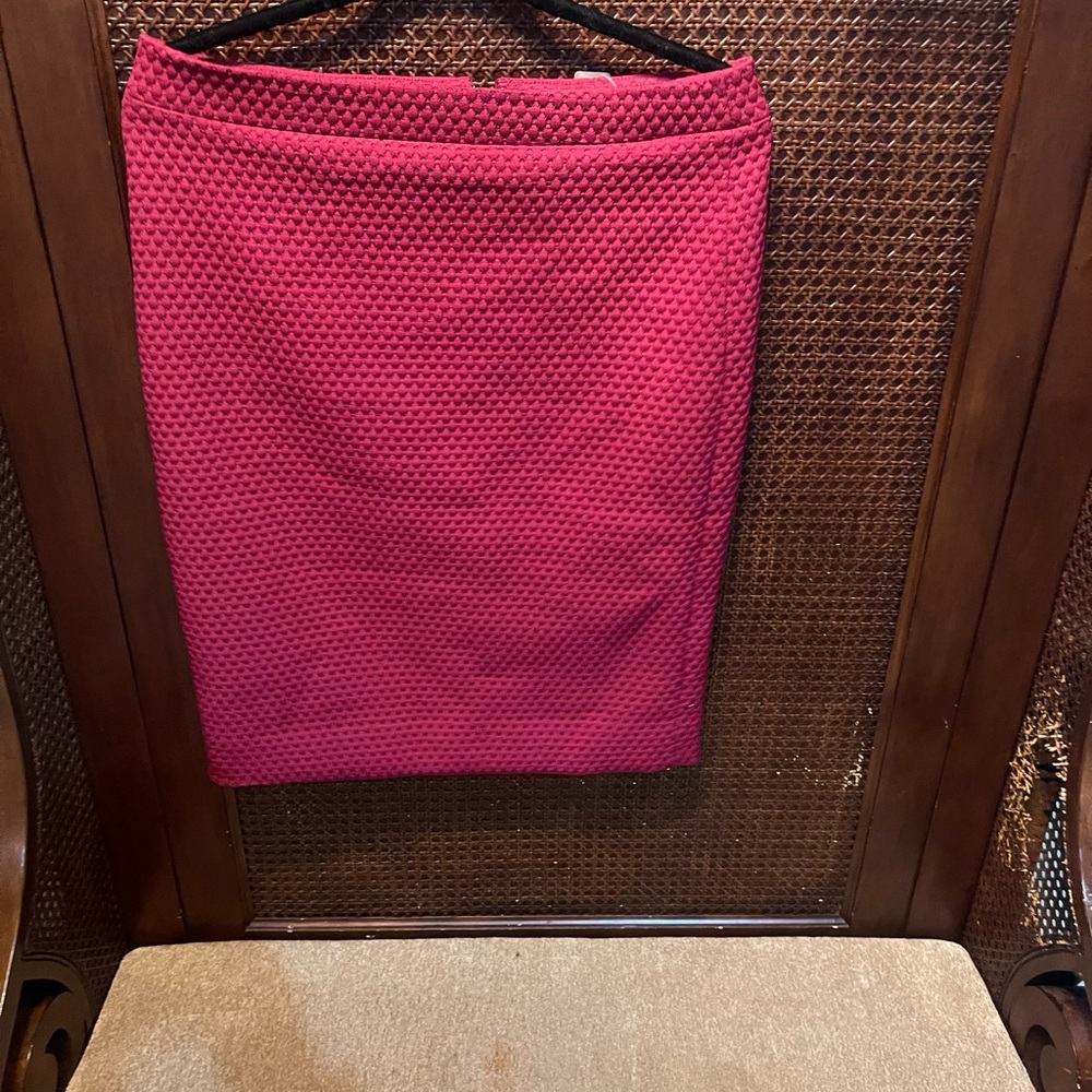 Jcrew skirt